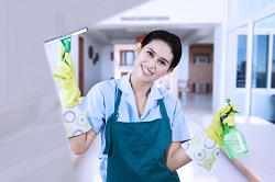 Why Should I Use Professional Cleaners?
