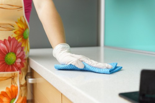 Swiss Cottage cleaners providing professional home cleaning services