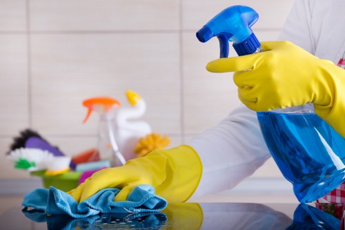 Bathroom sanitized as part of move in cleaning service
