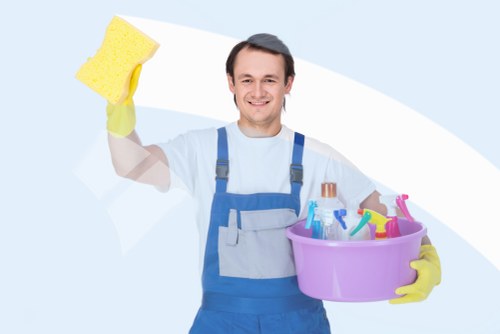 Detailed move out cleaning supplies arranged for a home