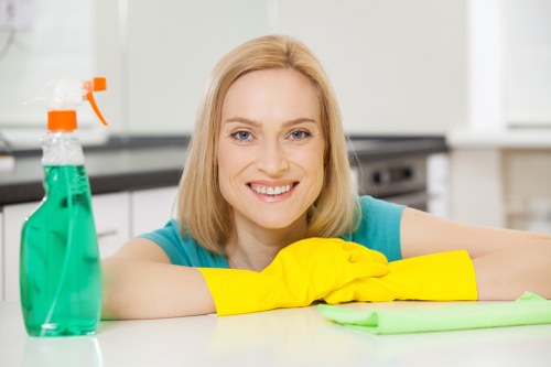 Close-up of upholstery fabric and cleaning tools for sofa cleaning