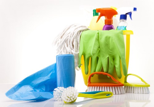 Domestic cleaning essentials for a fresh and organized home