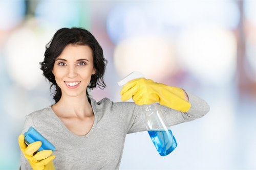 Effective domestic cleaning routine for busy households