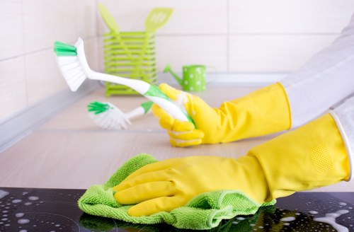 Cleaning supplies for effective house cleaning routines
