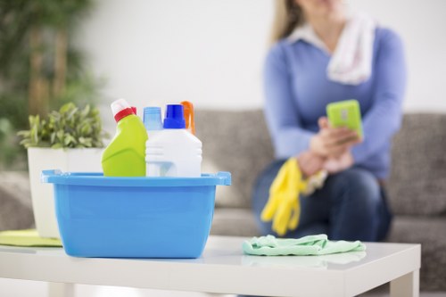 Kitchen and bathroom domestic cleaning tasks in a home