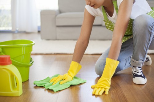 Seasonal domestic cleaning and home maintenance planning
