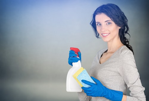 Cleaning supplies arranged for regular cleaning tasks
